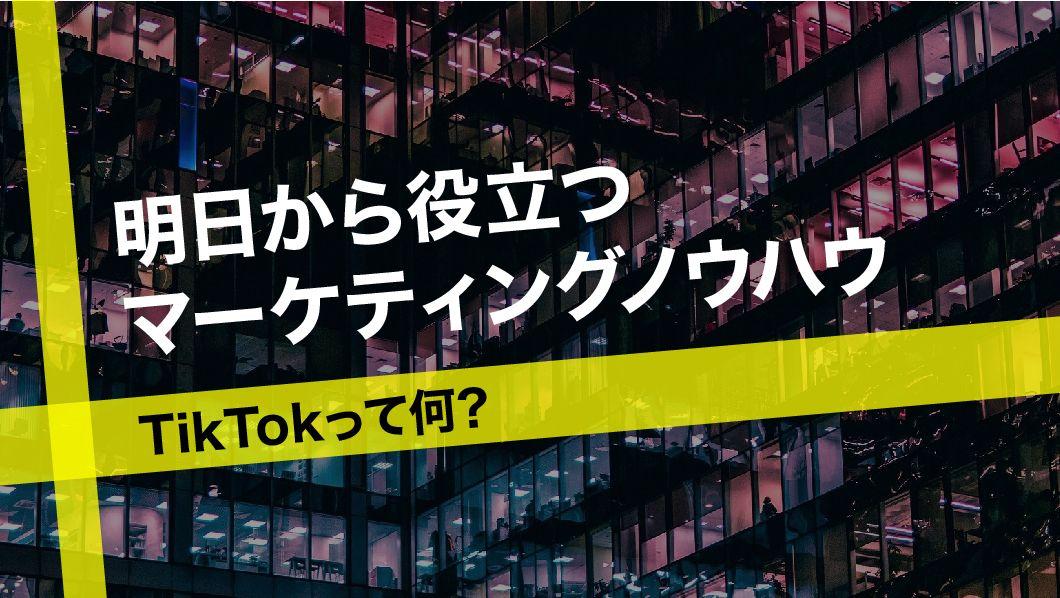 今!!話題の〝TikTok〟は、ビジネス活用が出来るのか？